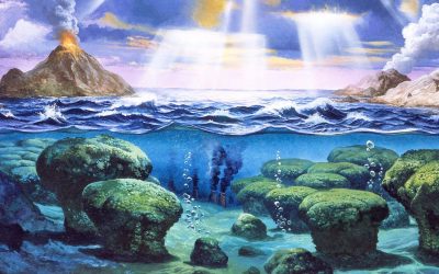 Strange microbes give clues to the ancestor of all complex life