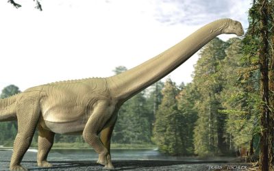 Sauropod dinosaur’s last meal reveals that it didn’t bother to chew