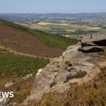 Sir David Attenborough backs bid to buy Rothbury Estate