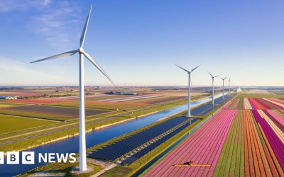 Netherlands’ renewables drive putting pressure on its power grid