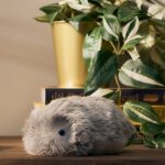 Casio’s Fluffy AI Robot Squeaked Its Way Into My Heart