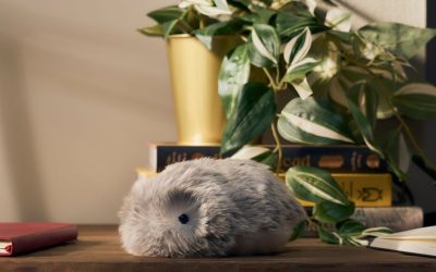Casio’s Fluffy AI Robot Squeaked Its Way Into My Heart
