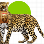 The AI Hype Index: Data centers’ neighbors are pivoting to power blackouts