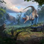 Nanotyrannus: Dinosaur skeleton settles long debate over ‘tiny T. rex’ fossils