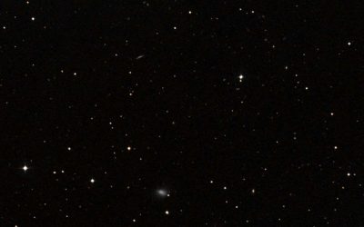 A tiny nearby galaxy is home to a shockingly enormous black hole