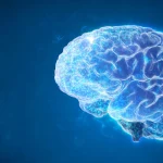 Online brain training reverses 10 years of aging in memory and learning