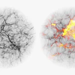 The Universe’s first radio waves could reveal dark matter