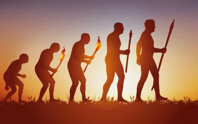 Humans evolved faster than any other ape