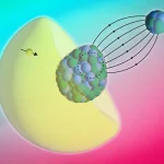 MIT physicists just found a way to see inside atoms