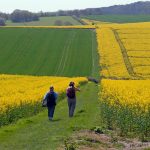 Longer Daily Walk Better for Heart Health, Says Study
