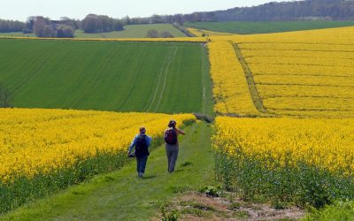 Longer Daily Walk Better for Heart Health, Says Study